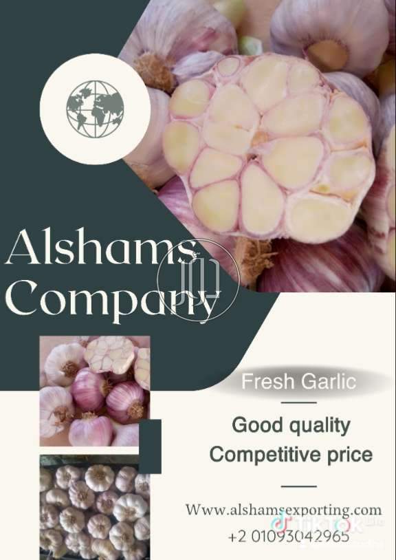 محاصيل زراعية في الكويت - دوّر.كوم