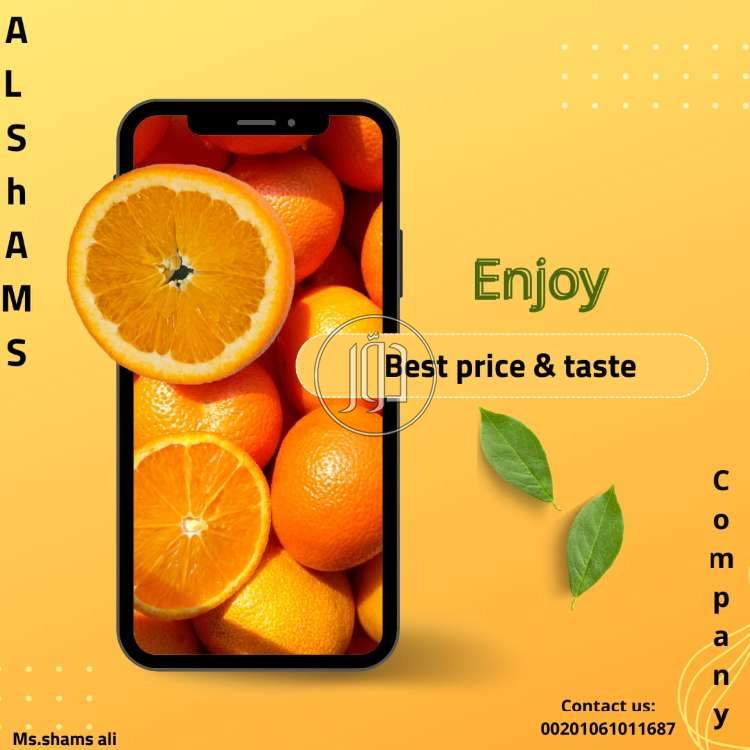 صور محاصيل وبذور زراعية في الكويت - دوّر.كوم