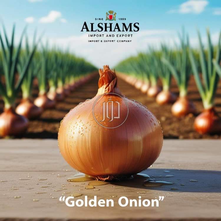 صور محاصيل وبذور زراعية في الكويت - دوّر.كوم