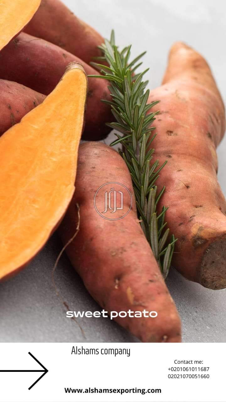 صور محاصيل وبذور زراعية في الكويت - دوّر.كوم