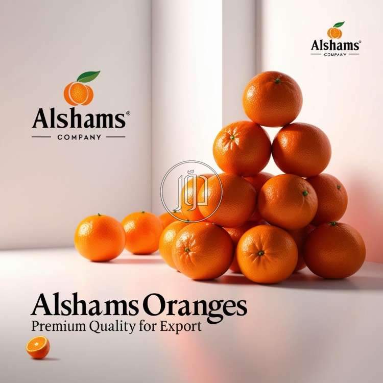 صور محاصيل وبذور زراعية في الكويت - دوّر.كوم