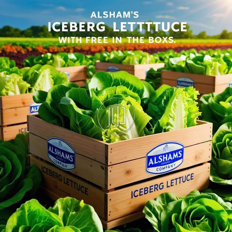 صور محاصيل وبذور زراعية في الكويت - دوّر.كوم