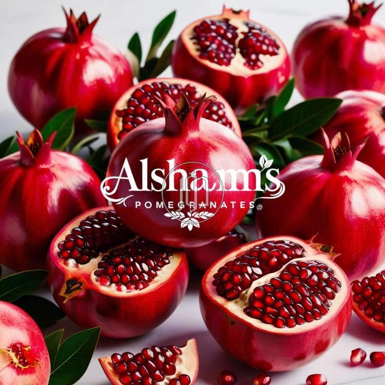 صور محاصيل وبذور زراعية في الكويت - دوّر.كوم