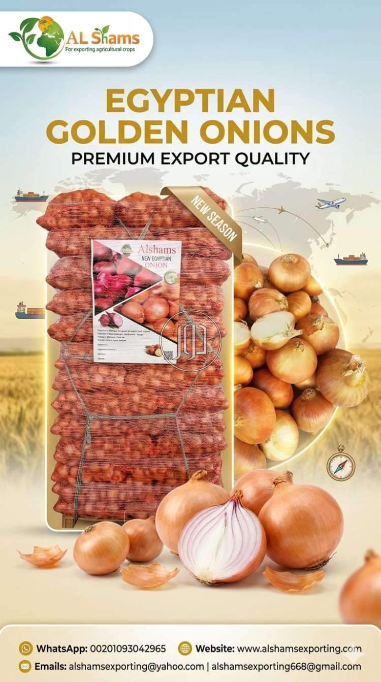 محاصيل زراعية في الكويت - دوّر.كوم