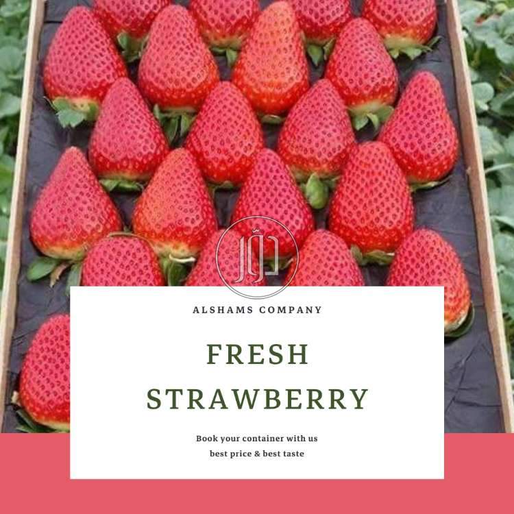 محاصيل زراعية في الكويت - دوّر.كوم