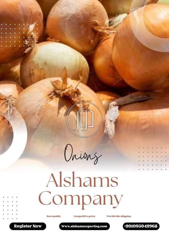 محاصيل زراعية في الكويت - دوّر.كوم