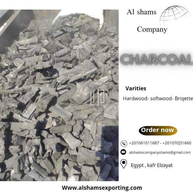 صور محاصيل وبذور زراعية في الكويت - دوّر.كوم