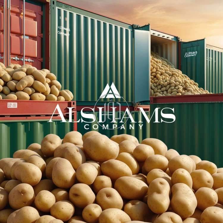 صور محاصيل وبذور زراعية في الكويت - دوّر.كوم