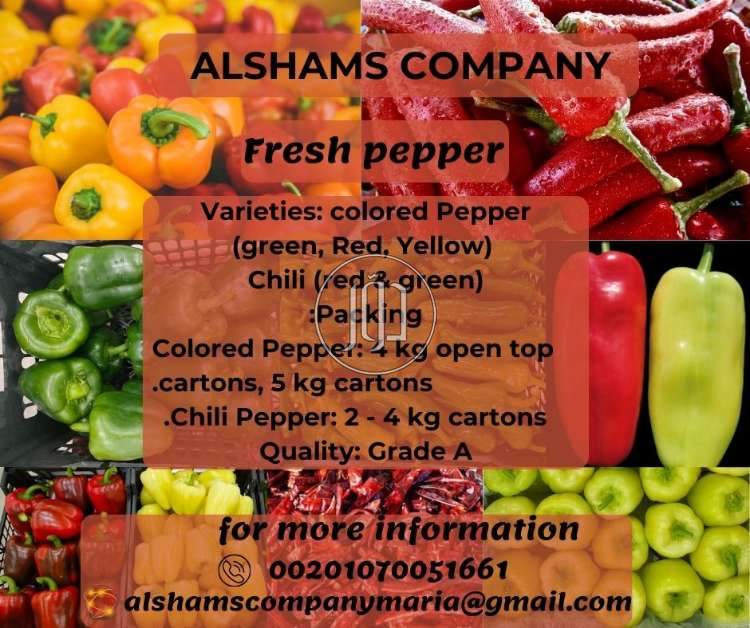 محاصيل زراعية في الكويت - دوّر.كوم