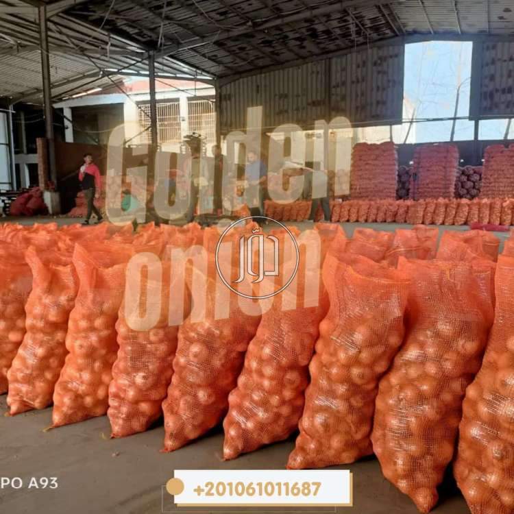 صور محاصيل وبذور زراعية في الكويت - دوّر.كوم