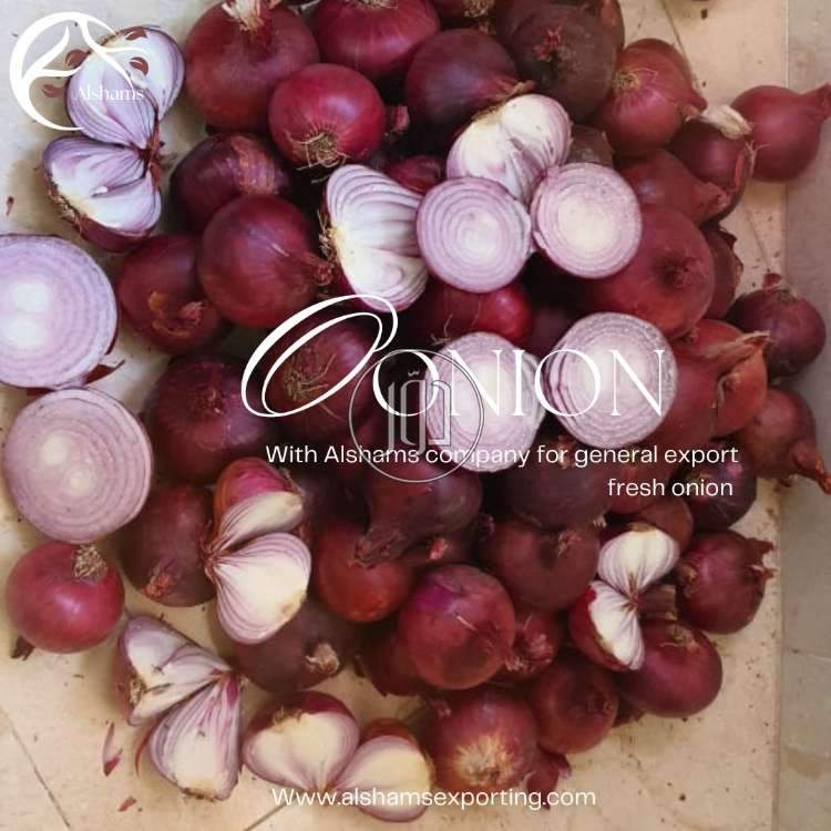 صور محاصيل وبذور زراعية في الكويت - دوّر.كوم