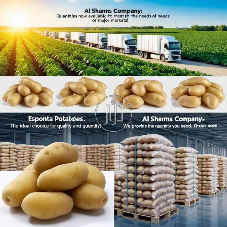 صور محاصيل وبذور زراعية في الكويت - دوّر.كوم