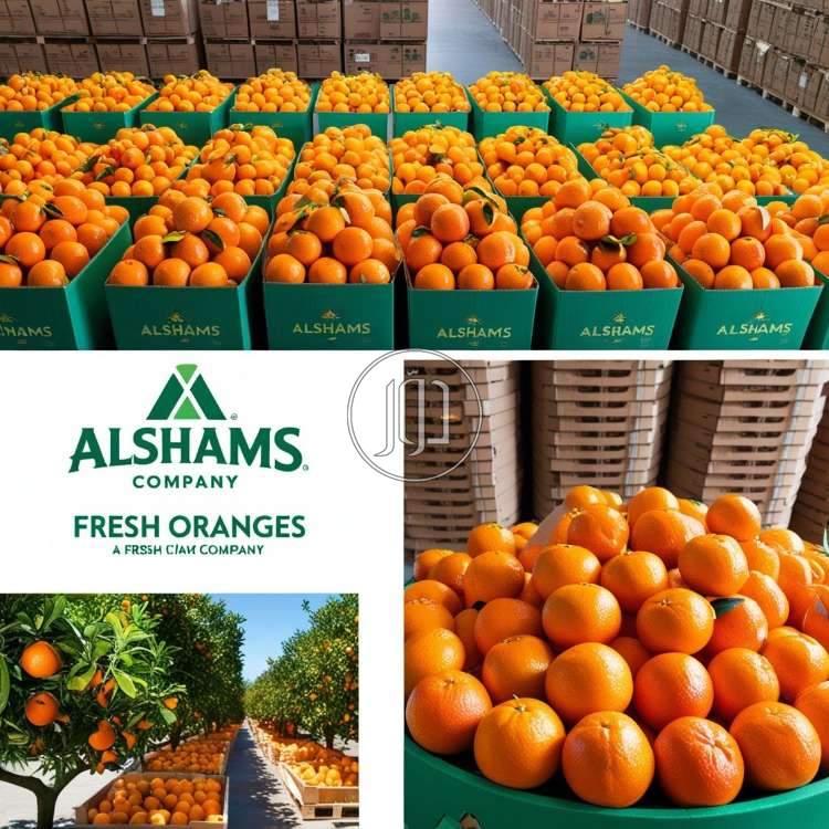 صور محاصيل وبذور زراعية في الكويت - دوّر.كوم