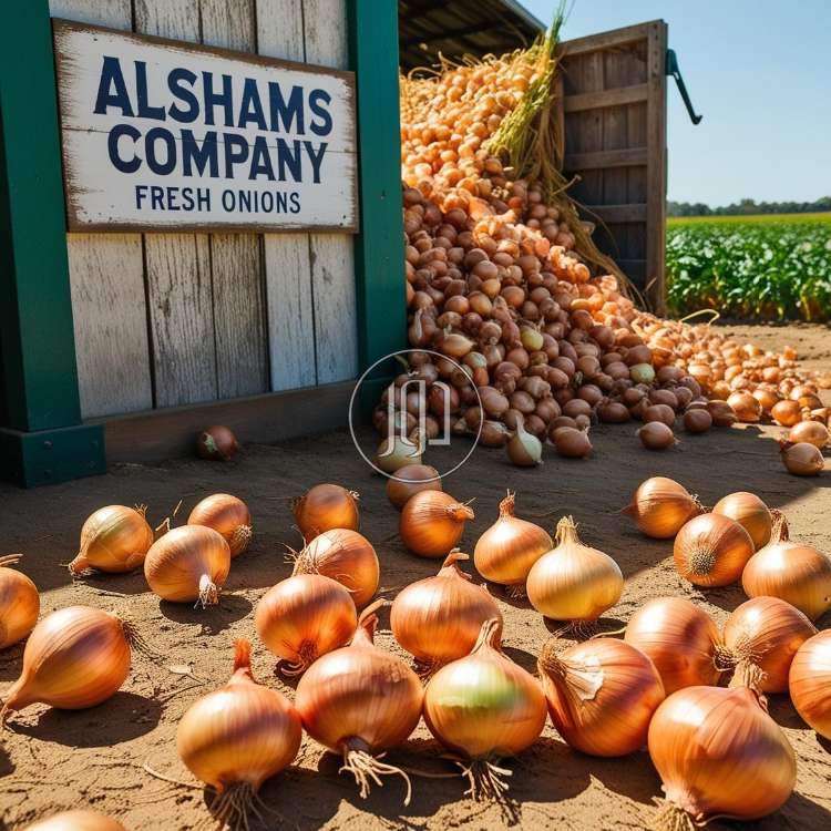 صور محاصيل وبذور زراعية في الكويت - دوّر.كوم