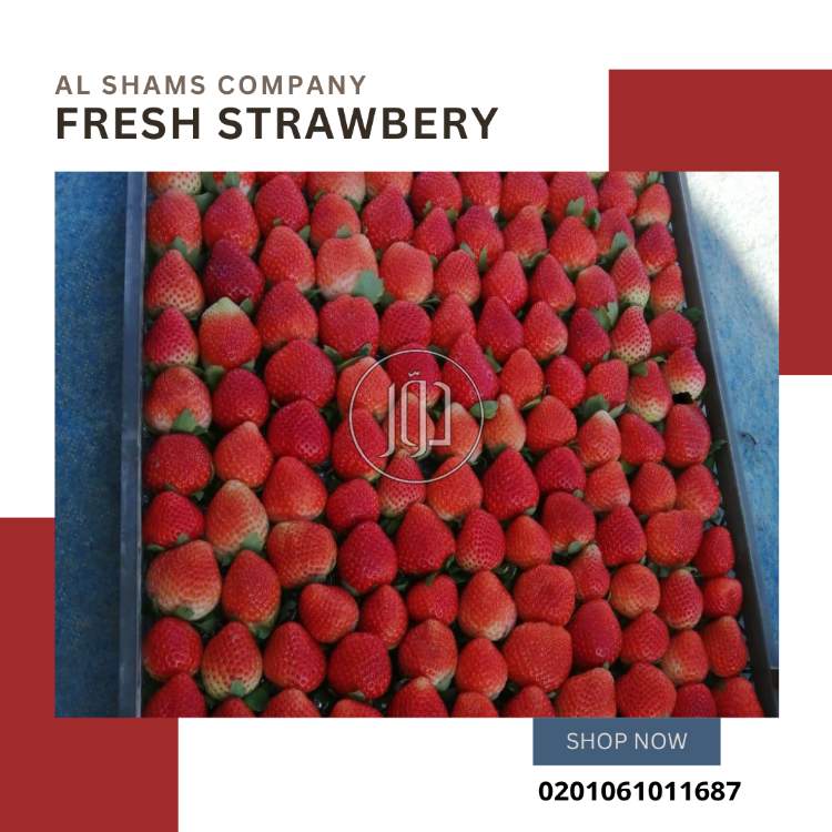 صور محاصيل وبذور زراعية في الكويت - دوّر.كوم