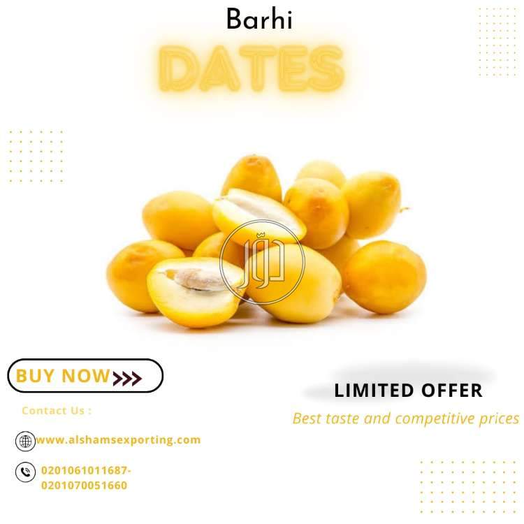 صور محاصيل وبذور زراعية في الكويت - دوّر.كوم