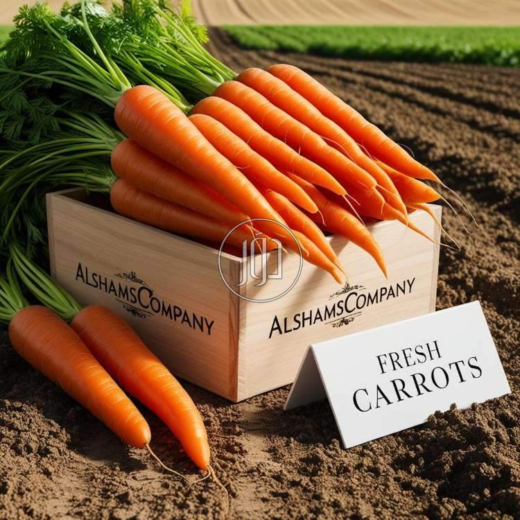 صور محاصيل وبذور زراعية في الكويت - دوّر.كوم