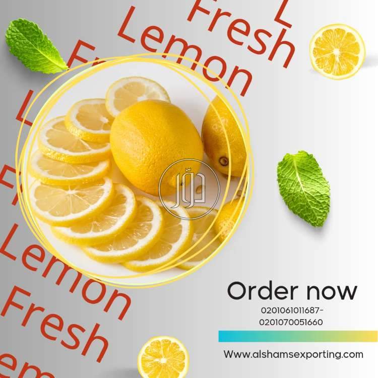 صور محاصيل وبذور زراعية في الكويت - دوّر.كوم