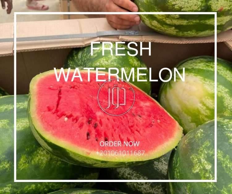 صور محاصيل وبذور زراعية في الكويت - دوّر.كوم