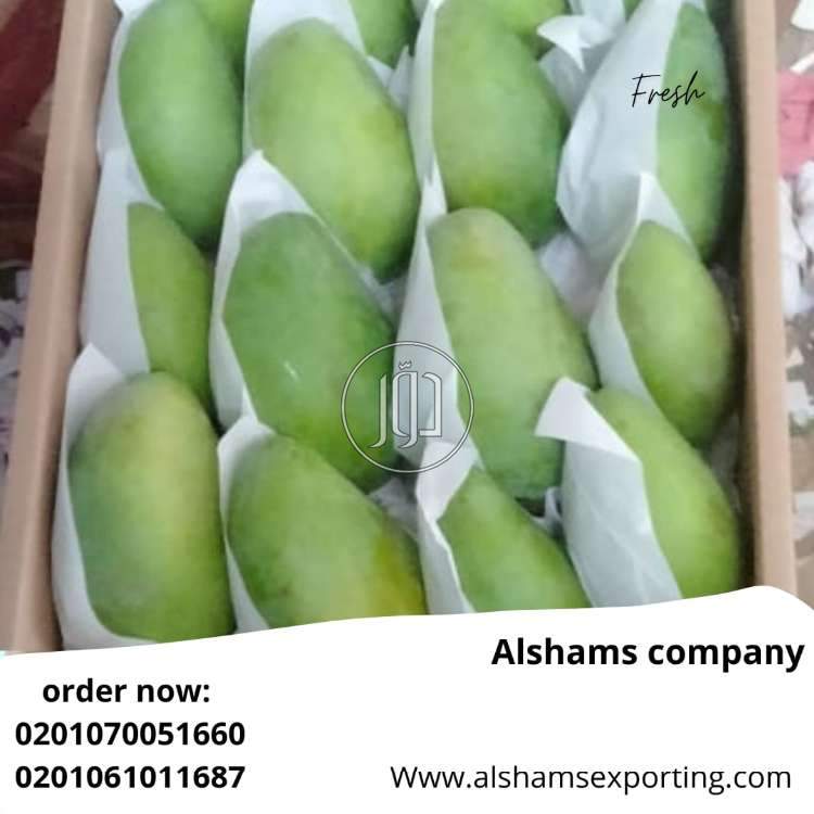 صور محاصيل وبذور زراعية في الكويت - دوّر.كوم