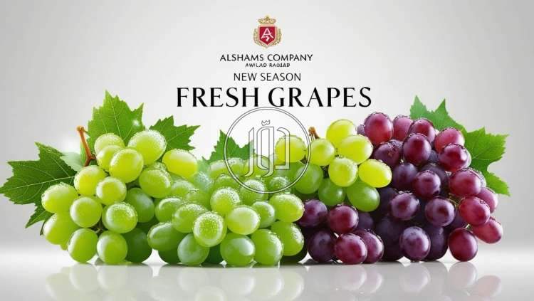 صور محاصيل وبذور زراعية في الكويت - دوّر.كوم