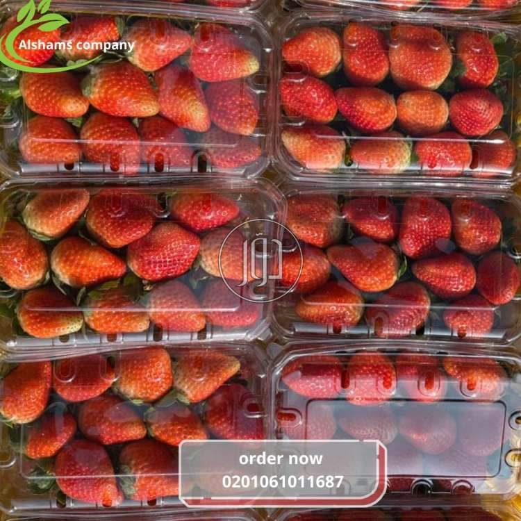 محاصيل زراعية في الكويت - دوّر.كوم