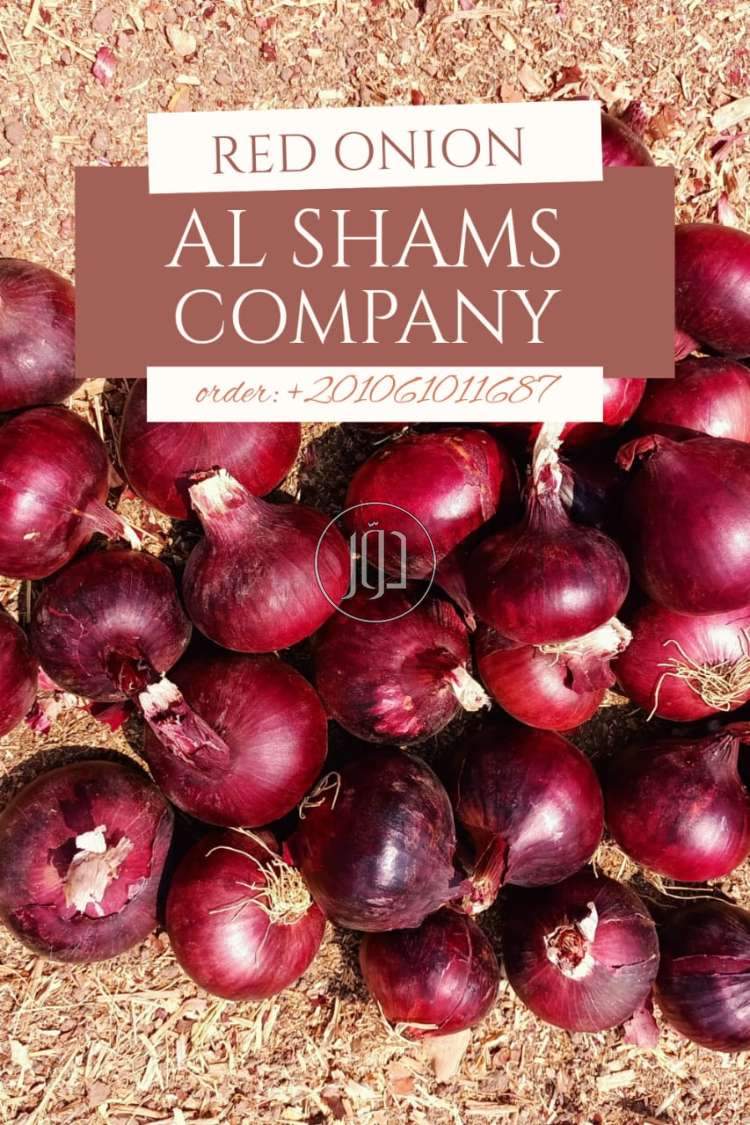 صور محاصيل وبذور زراعية في الكويت - دوّر.كوم