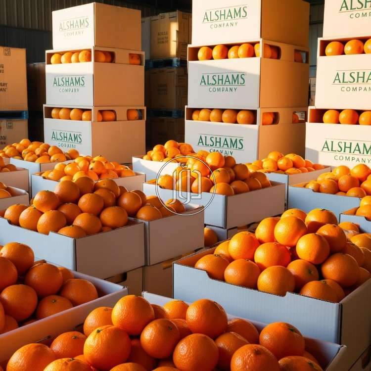 صور محاصيل وبذور زراعية في الكويت - دوّر.كوم