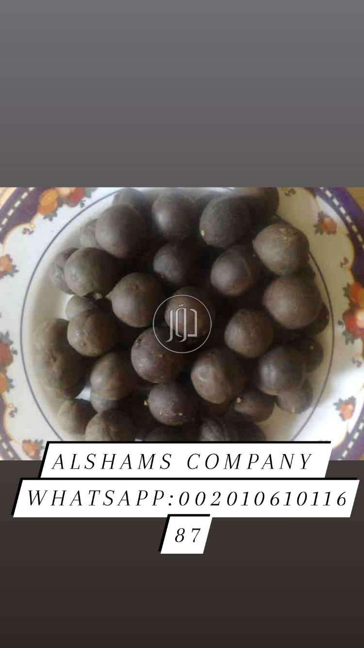 صور محاصيل وبذور زراعية في الكويت - دوّر.كوم