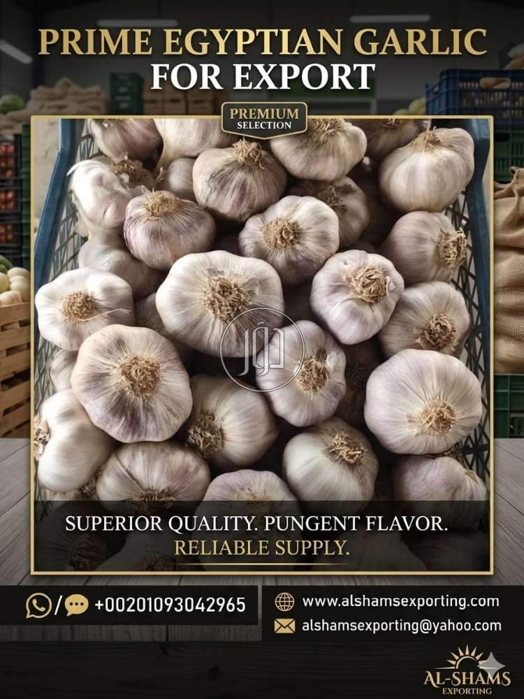 محاصيل زراعية في الكويت - دوّر.كوم