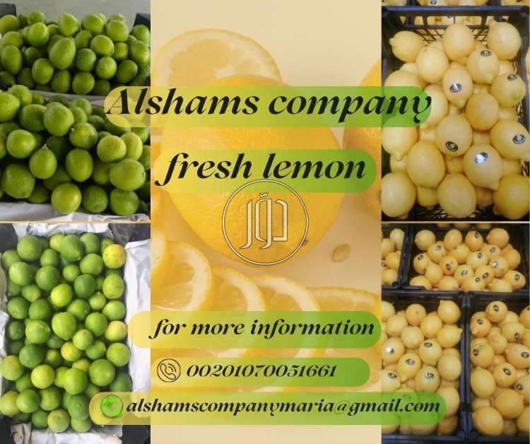 محاصيل زراعية في الكويت - دوّر.كوم