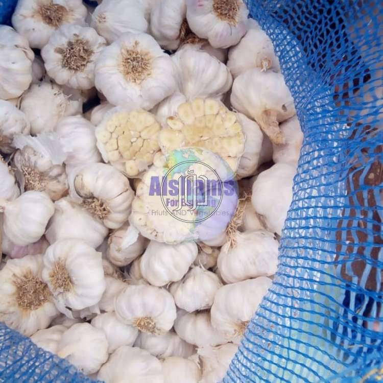 صور محاصيل وبذور زراعية في الكويت - دوّر.كوم