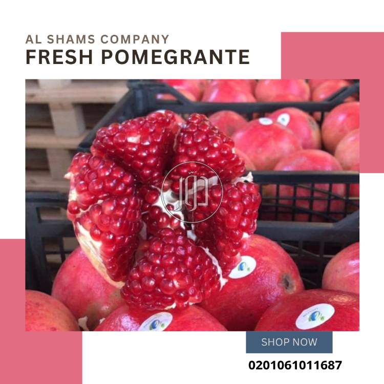 fresh pomegranate