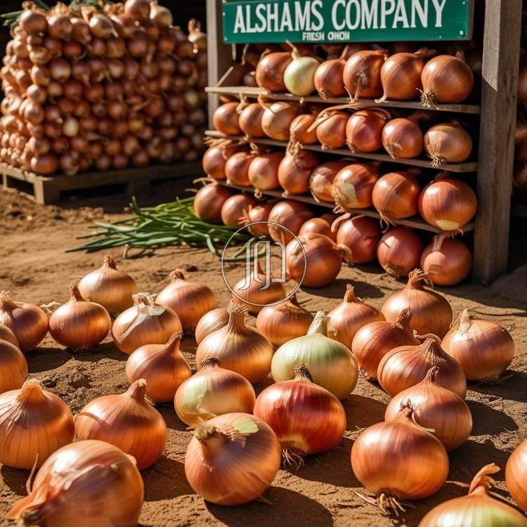 صور محاصيل وبذور زراعية في الكويت - دوّر.كوم