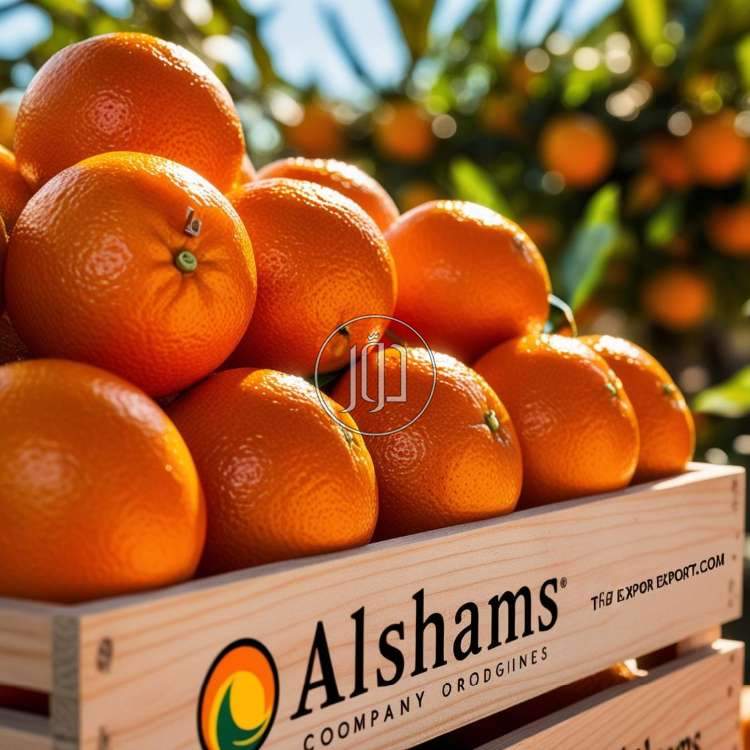 صور محاصيل وبذور زراعية في الكويت - دوّر.كوم