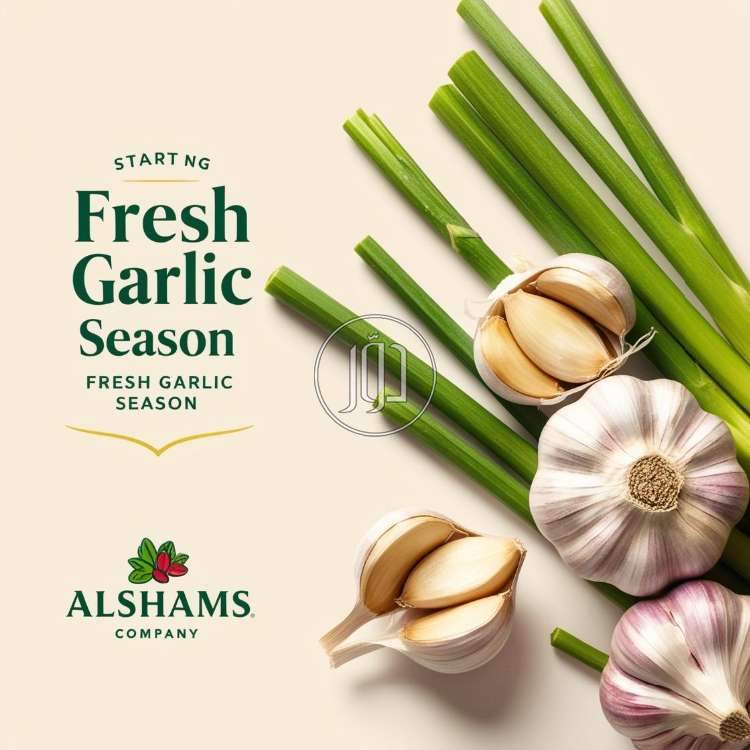 صور محاصيل وبذور زراعية في الكويت - دوّر.كوم