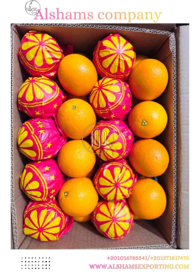 محاصيل زراعية في الكويت