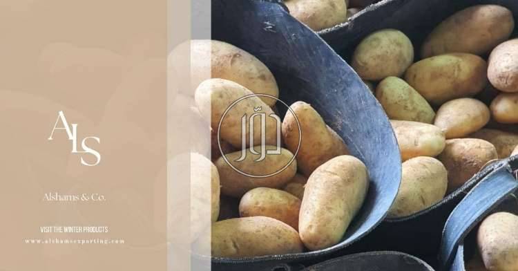 صور محاصيل وبذور زراعية في الكويت - دوّر.كوم