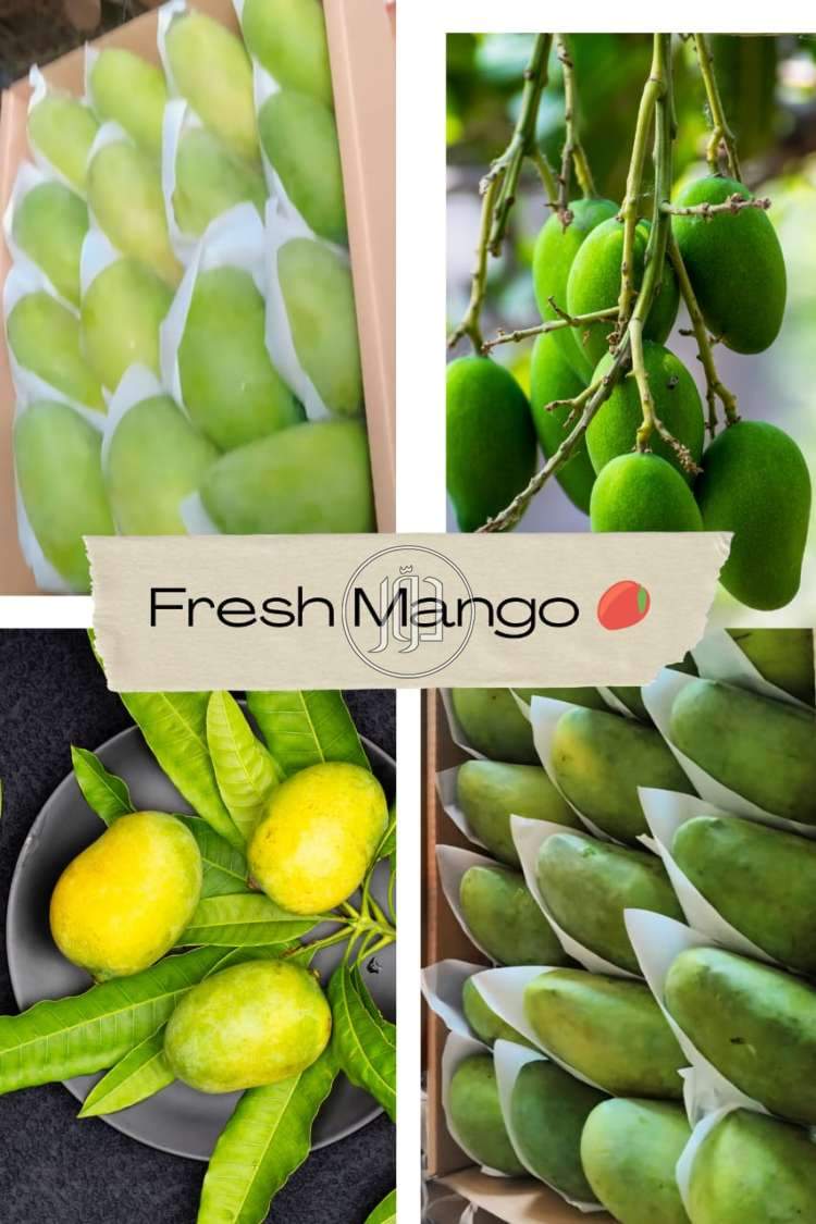 صور محاصيل وبذور زراعية في الكويت - دوّر.كوم