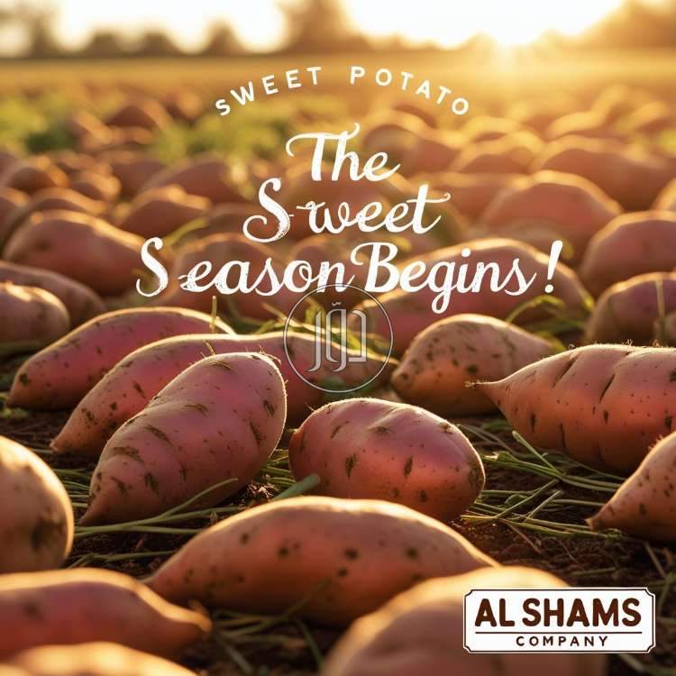 صور محاصيل وبذور زراعية في الكويت - دوّر.كوم