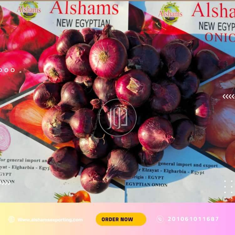 صور محاصيل وبذور زراعية في الكويت - دوّر.كوم