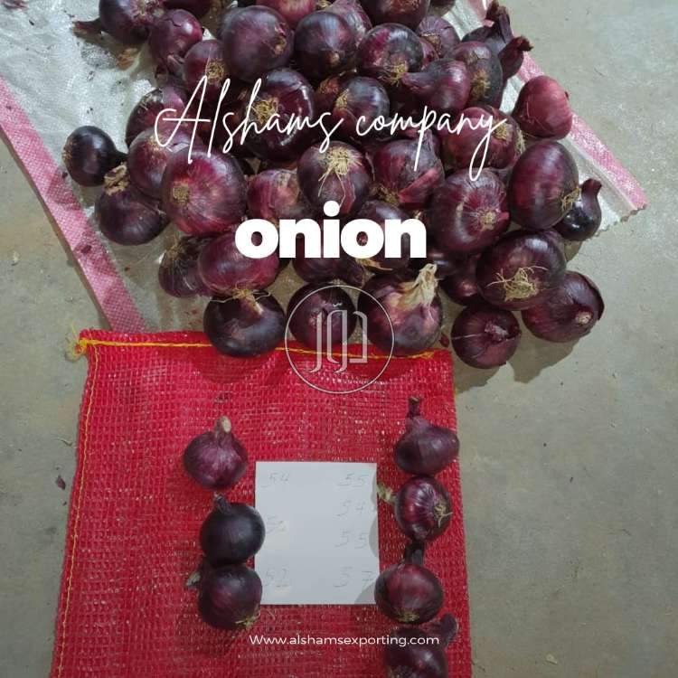 صور محاصيل وبذور زراعية في الكويت - دوّر.كوم