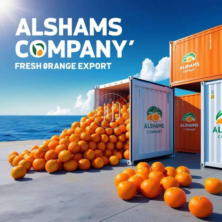 صور محاصيل وبذور زراعية في الكويت - دوّر.كوم