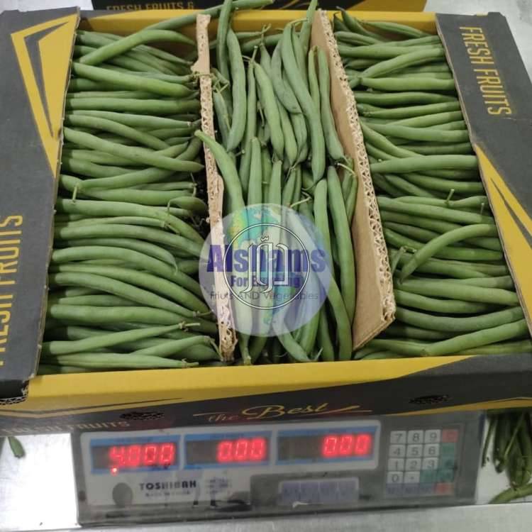 صور محاصيل وبذور زراعية في الكويت - دوّر.كوم