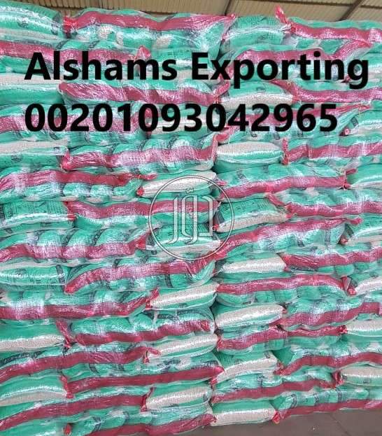 صور محاصيل وبذور زراعية في الكويت - دوّر.كوم