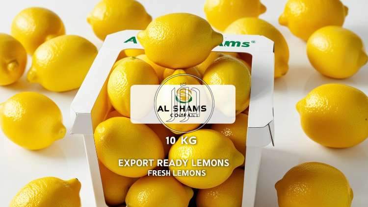 صور محاصيل وبذور زراعية في الكويت - دوّر.كوم