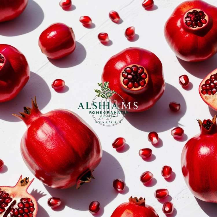 صور محاصيل وبذور زراعية في الكويت - دوّر.كوم