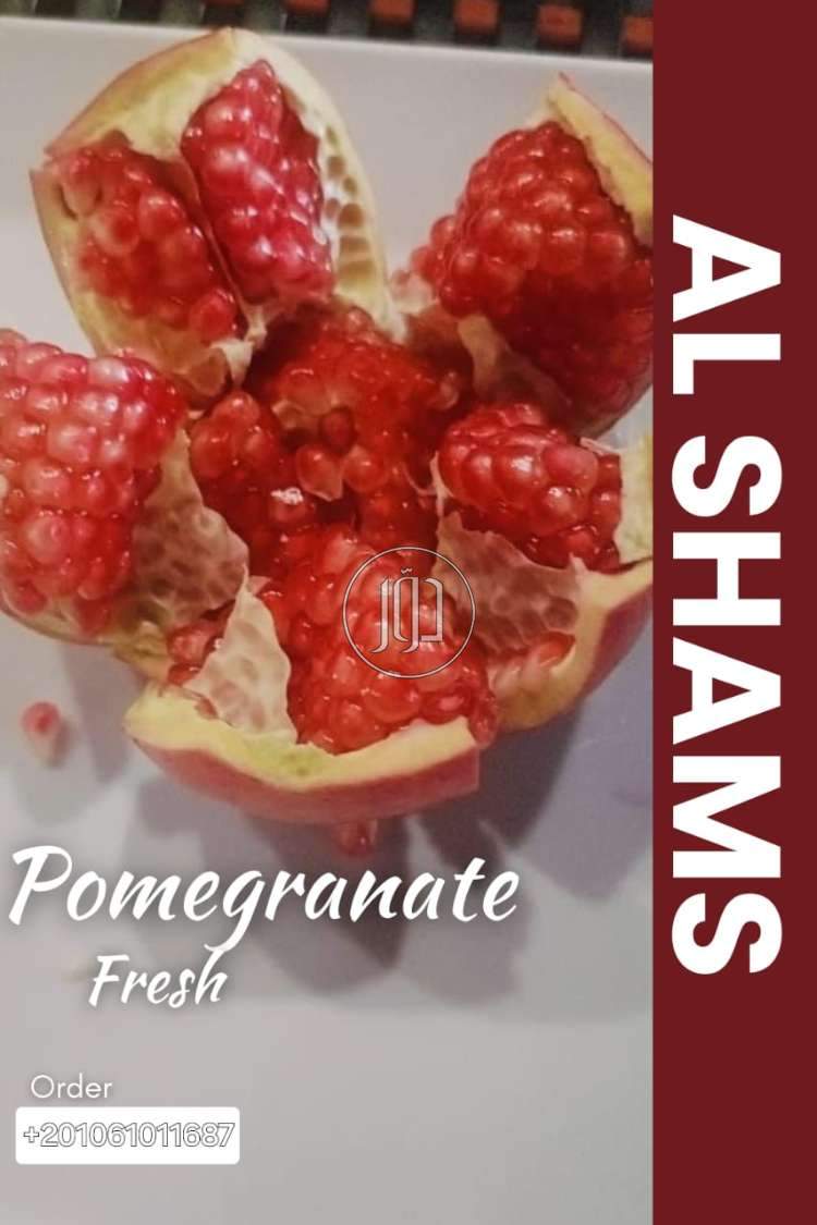 صور محاصيل وبذور زراعية في الكويت - دوّر.كوم