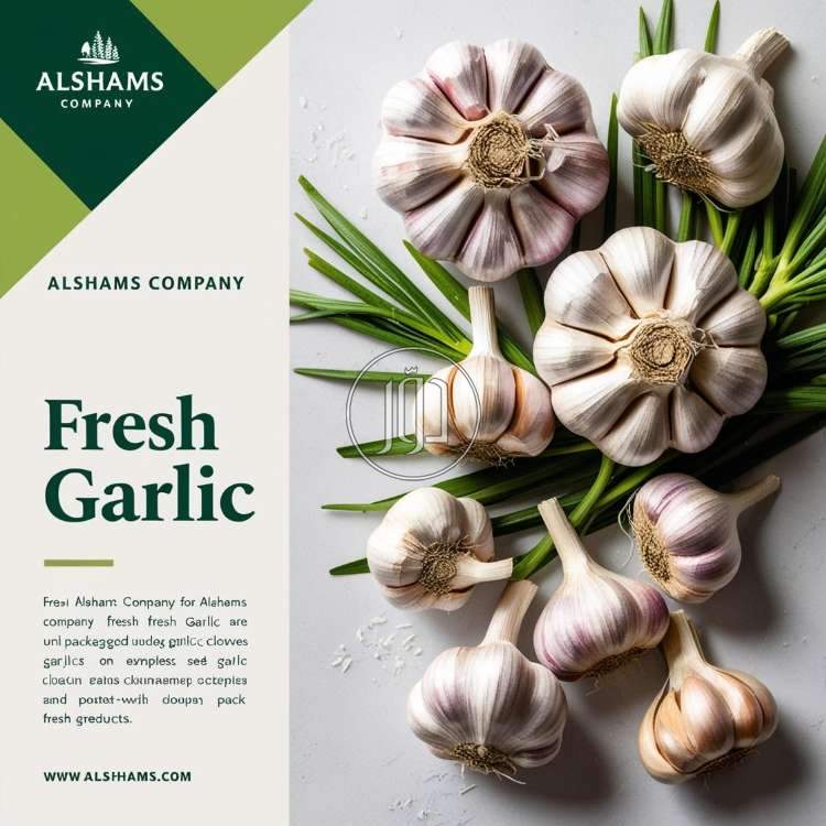 صور محاصيل وبذور زراعية في الكويت - دوّر.كوم