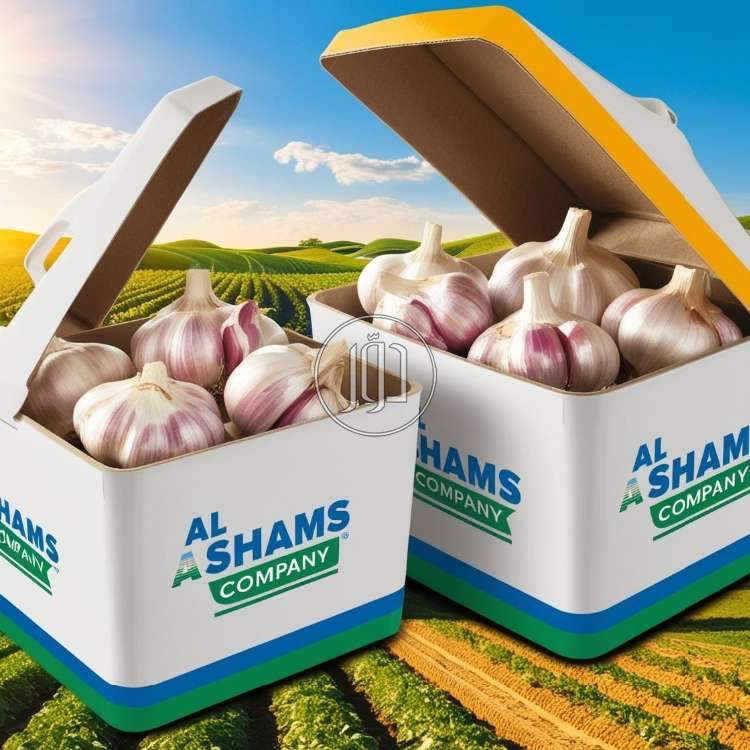 صور محاصيل وبذور زراعية في الكويت - دوّر.كوم